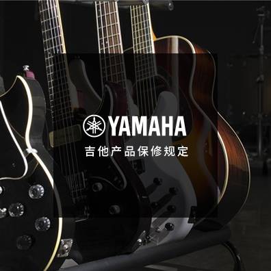 吉他、贝斯和音箱